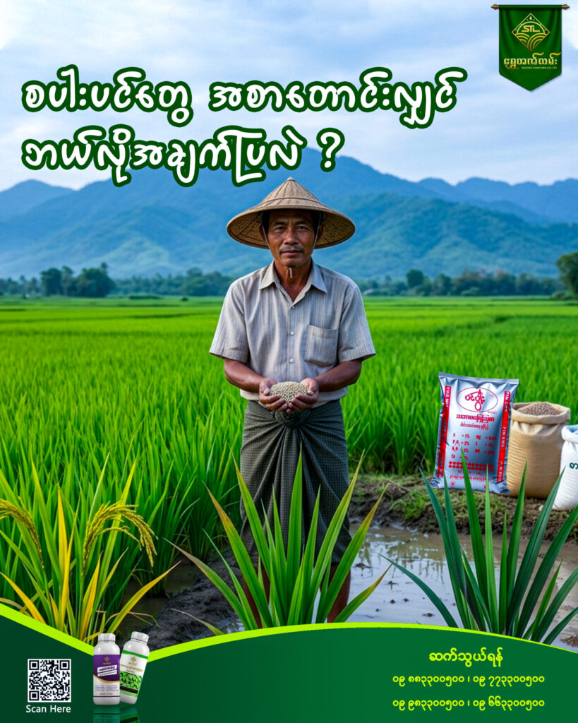 စပါးပင်တွေ အစာတောင်းလျင် ဘယ်လိုအချက်ပြလဲ?